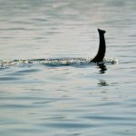 Туристы на британском озере видели 15-метрового монстра